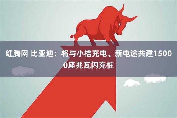红腾网 比亚迪：将与小桔充电、新电途共建15000座兆瓦闪充桩