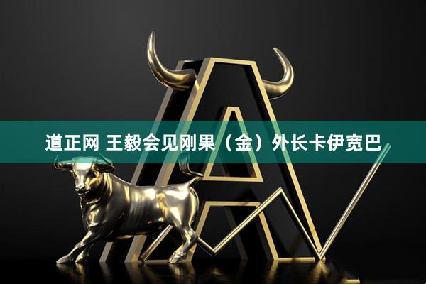 道正网 王毅会见刚果（金）外长卡伊宽巴