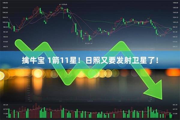 擒牛宝 1箭11星！日照又要发射卫星了！