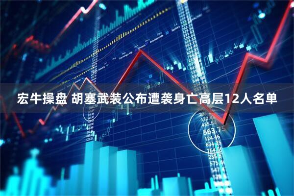 宏牛操盘 胡塞武装公布遭袭身亡高层12人名单