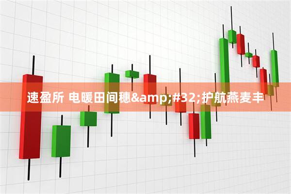 速盈所 电暖田间穗&#32;护航燕麦丰