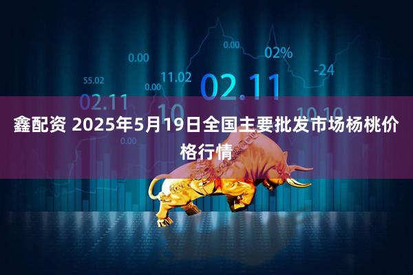 鑫配资 2025年5月19日全国主要批发市场杨桃价格行情